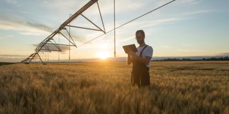 Facilitating collaboration through a connectivity roundtable | Connectivity | Digital NSW