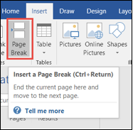 Screen show showing how to insert a page break