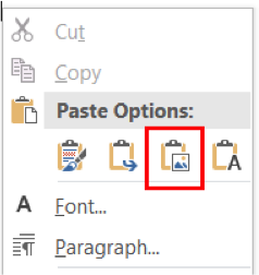 Screen show of the paste options where the paste as image option is selected