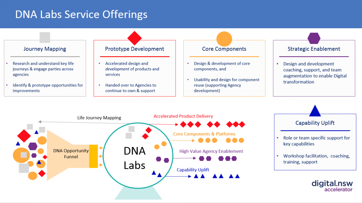 DNA Labs Service Offerings