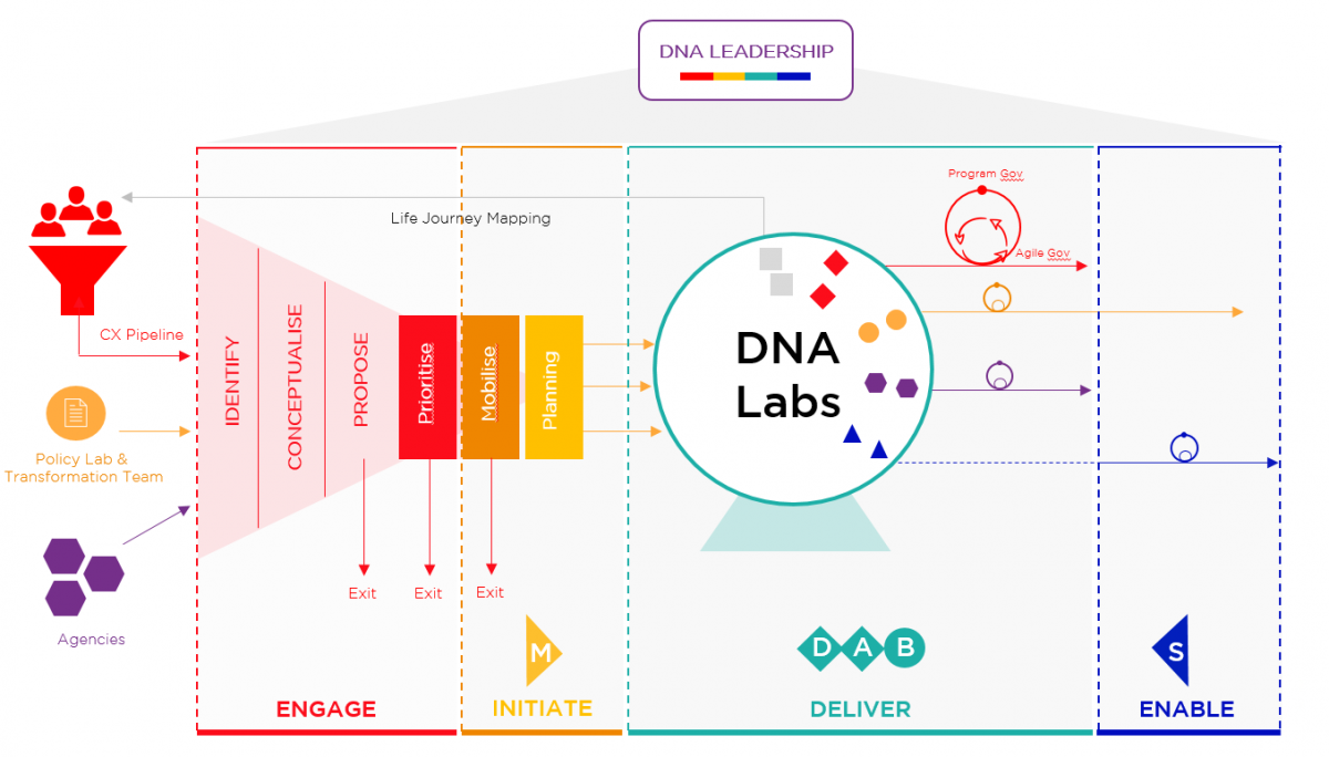 DNA Operating Model