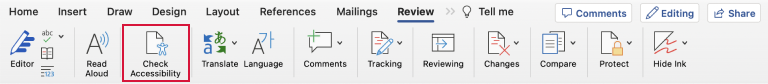 Screenshot of Microsoft Word toolbar displaying the 'check accessibility' button within the menu