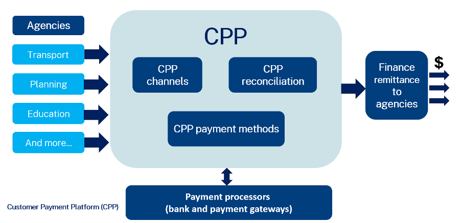 How does a transaction on the Customer Payment Platform work?