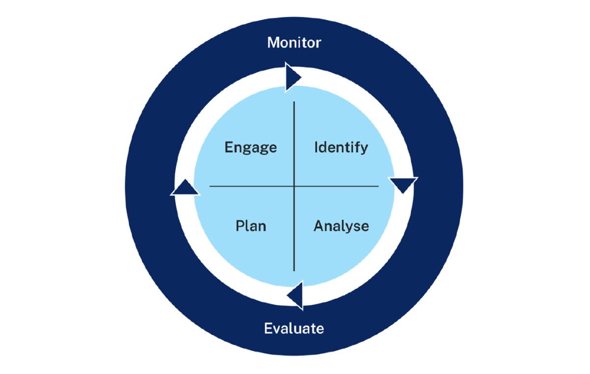 Circular diagram with outer ring showing Monitor, Evaluate; inner circle divided into Engage, Identify, Plan and Analyse