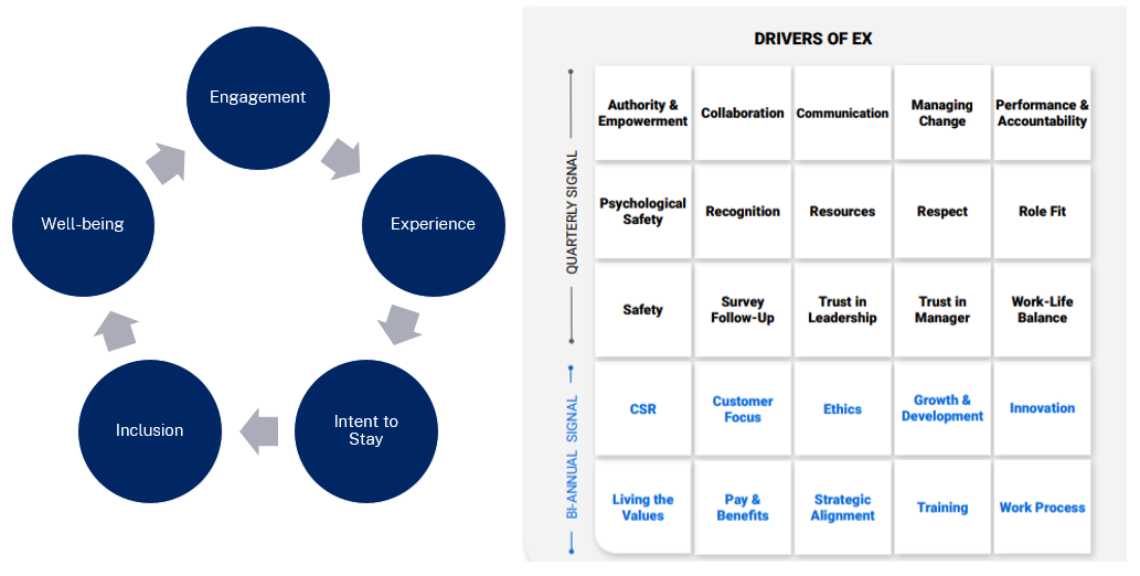Employee Experience